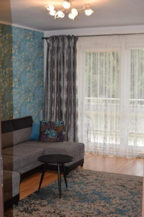 Apartament Galeria Warmińska in Allenstein